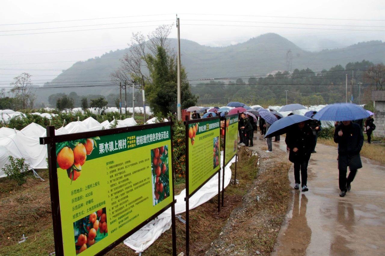 我县开展“美丽瑶乡党旗红”党建品牌亮点示范工程大考核951 / 作者:糕富帅 / 帖子ID:266949