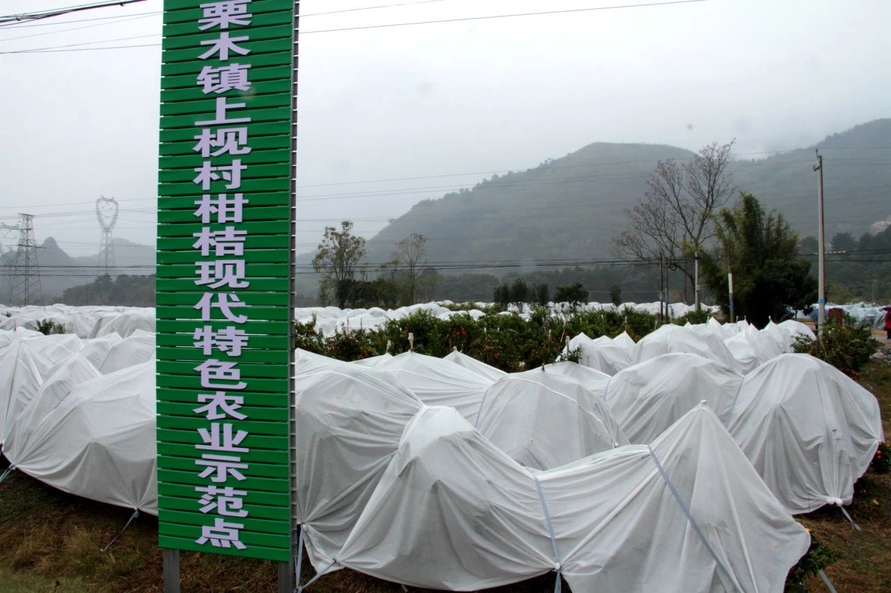 我县开展“美丽瑶乡党旗红”党建品牌亮点示范工程大考核490 / 作者:糕富帅 / 帖子ID:266949