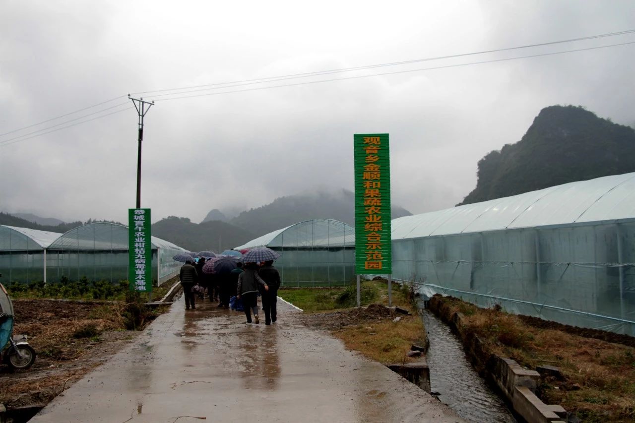 我县开展“美丽瑶乡党旗红”党建品牌亮点示范工程大考核804 / 作者:糕富帅 / 帖子ID:266949