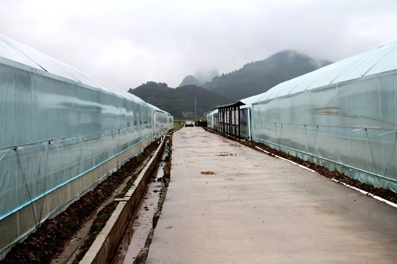 我县开展“美丽瑶乡党旗红”党建品牌亮点示范工程大考核672 / 作者:糕富帅 / 帖子ID:266949