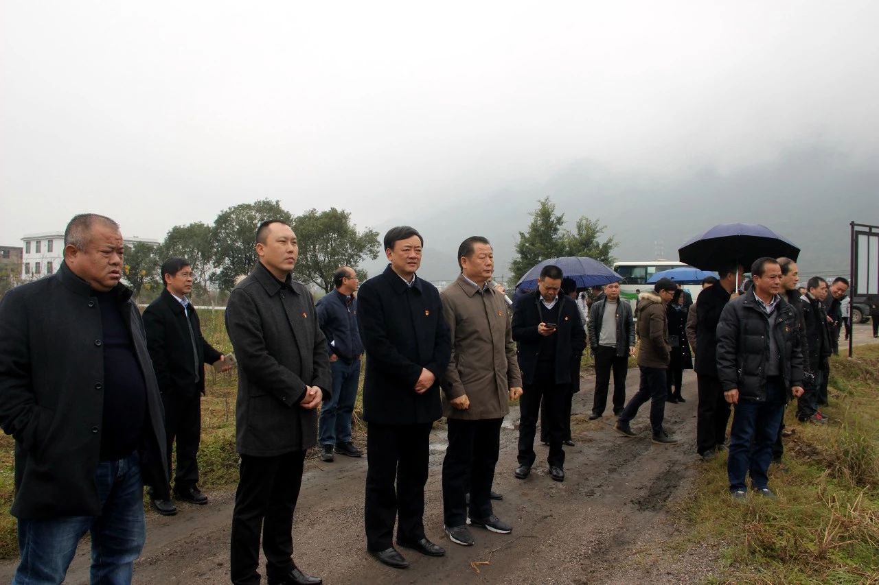 我县开展“美丽瑶乡党旗红”党建品牌亮点示范工程大考核370 / 作者:糕富帅 / 帖子ID:266949