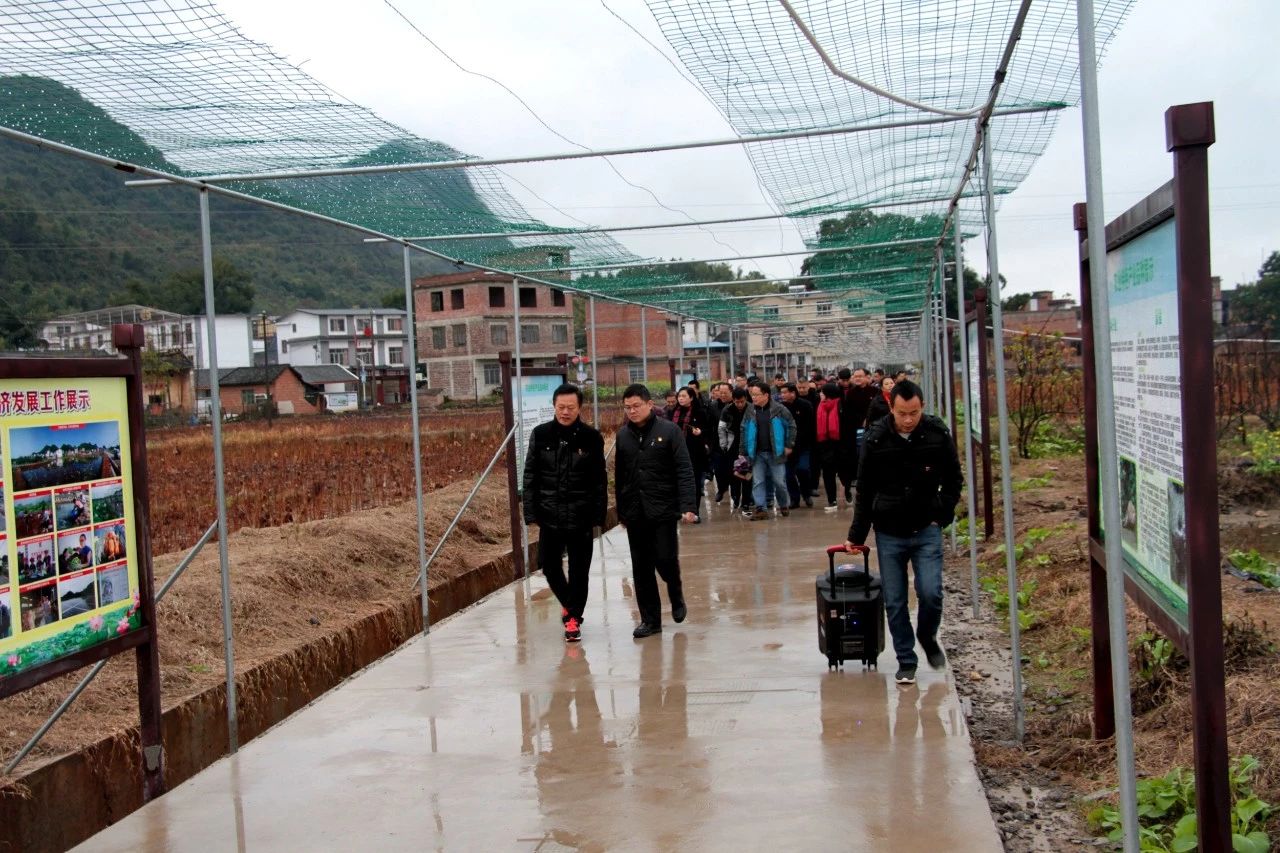 我县开展“美丽瑶乡党旗红”党建品牌亮点示范工程大考核92 / 作者:糕富帅 / 帖子ID:266949