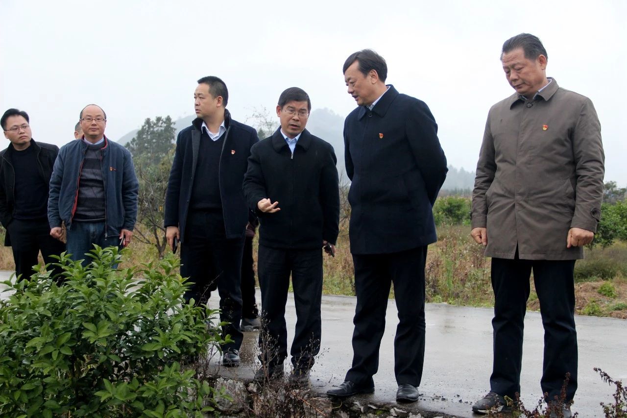 我县开展“美丽瑶乡党旗红”党建品牌亮点示范工程大考核707 / 作者:糕富帅 / 帖子ID:266949