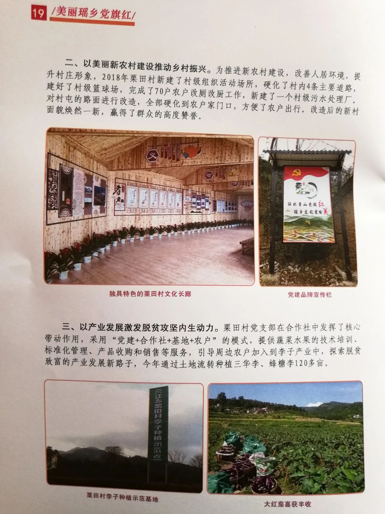 我县开展“美丽瑶乡党旗红”党建品牌亮点示范工程大考核639 / 作者:糕富帅 / 帖子ID:266949