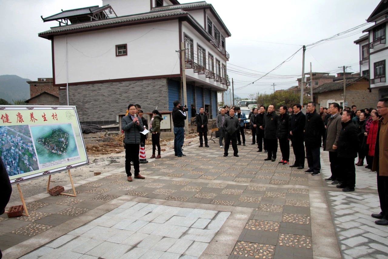 党建品牌亮点示范工程考评组到平安康养特色小镇实地视察939 / 作者:歌声回荡 / 帖子ID:266950
