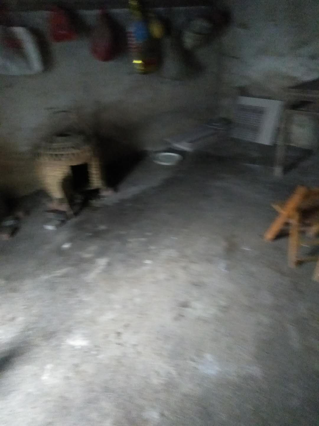 今天早上6点起床发现在鸡笼里的10几个鸡被人偷了900 / 作者:单身汉子 / 帖子ID:266971