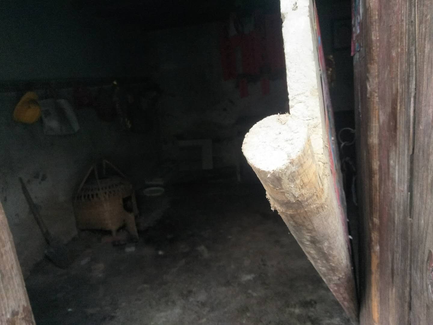 今天早上6点起床发现在鸡笼里的10几个鸡被人偷了321 / 作者:单身汉子 / 帖子ID:266971