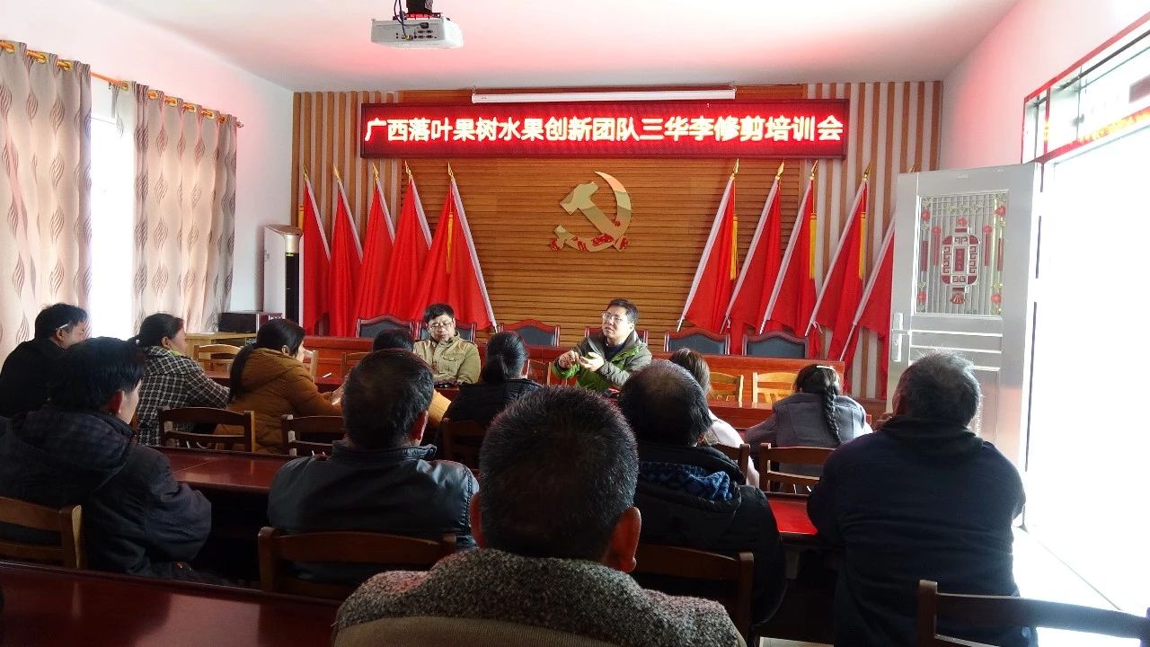 西岭镇：广西落叶果树水果创新团队“智力扶贫”暖农心616 / 作者:砍柴撞跌老斑鸠 / 帖子ID:267181
