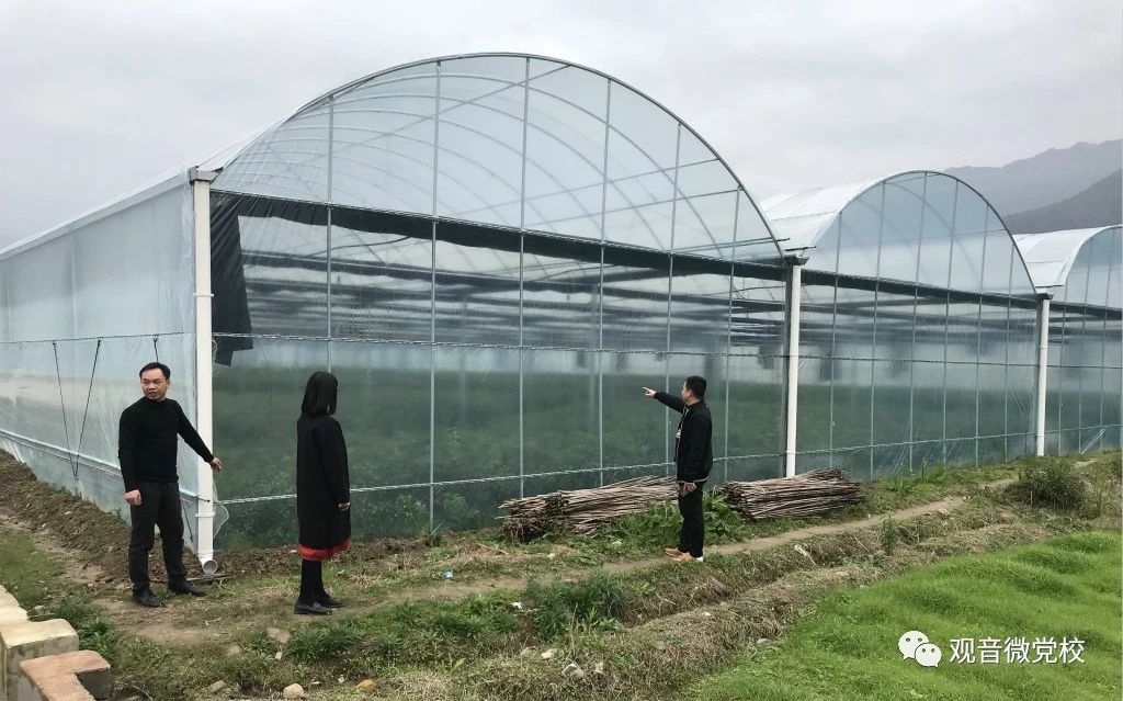 观音乡多部门联合进行“大棚房”专项整治排查行动108 / 作者:阿童木 / 帖子ID:267190