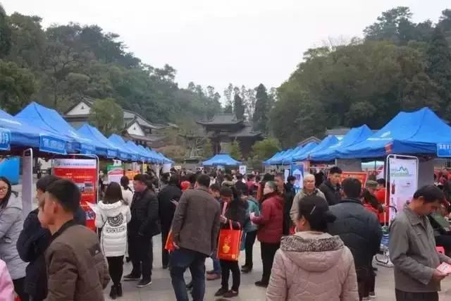 恭城县举办2019年“春风行动”暨农村劳动力转移就业现场招聘会945 / 作者:深秋的落叶 / 帖子ID:267256