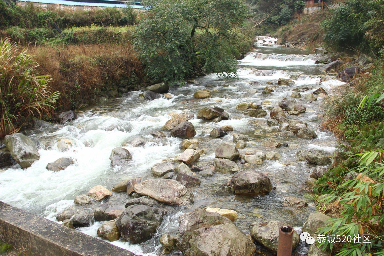 2019年三江石口村花炮节全程直播回放+高清大图，花炮究竟落在谁家？662 / 作者:深秋的落叶 / 帖子ID:267423