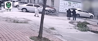 家有喜剧丨女儿停车撞了树，父亲：“我来！” 结果……287 / 作者:糕富帅 / 帖子ID:267521