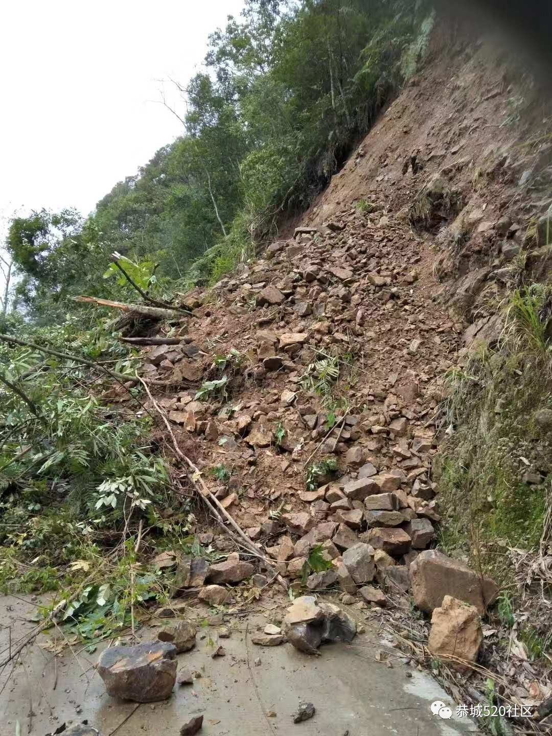 暴雨后遗症！西岭营盘川江路段发生塌方，交通中断！239 / 作者:喊我不要脸 / 帖子ID:267543