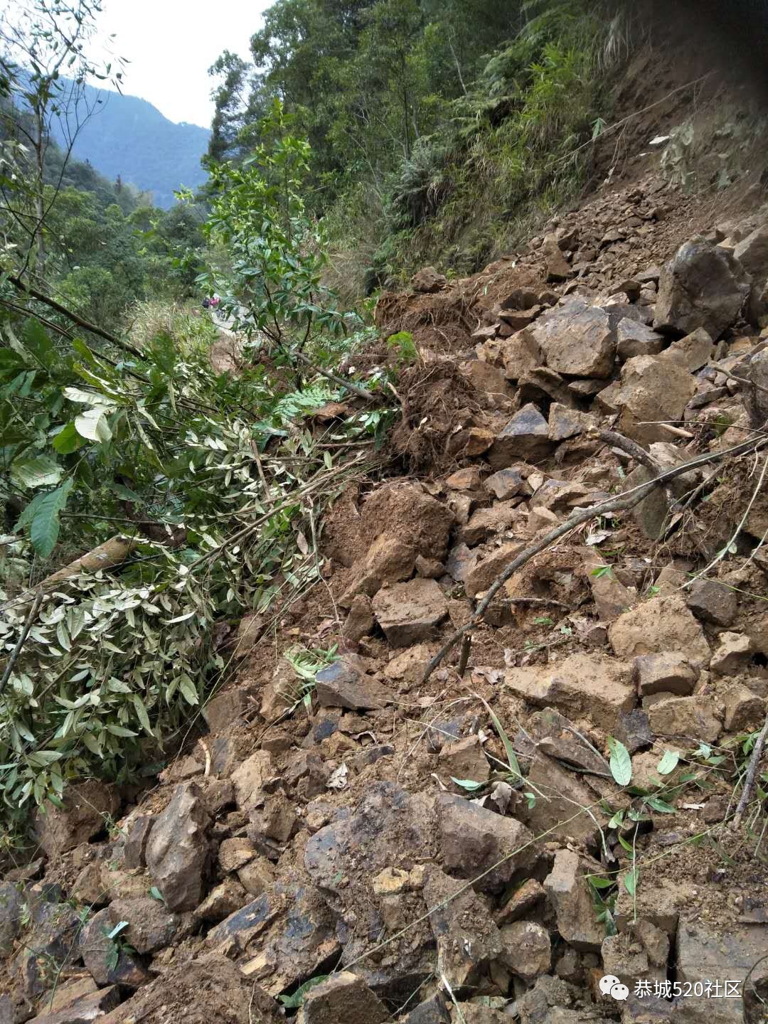 暴雨后遗症！西岭营盘川江路段发生塌方，交通中断！592 / 作者:喊我不要脸 / 帖子ID:267543