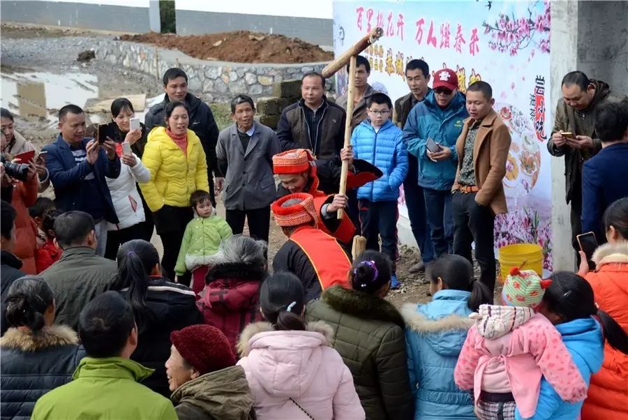 大家心心念念的桃花节+首届嘉会野生紫荆花民俗文化节终于来了！558 / 作者:红花绿叶 / 帖子ID:267554
