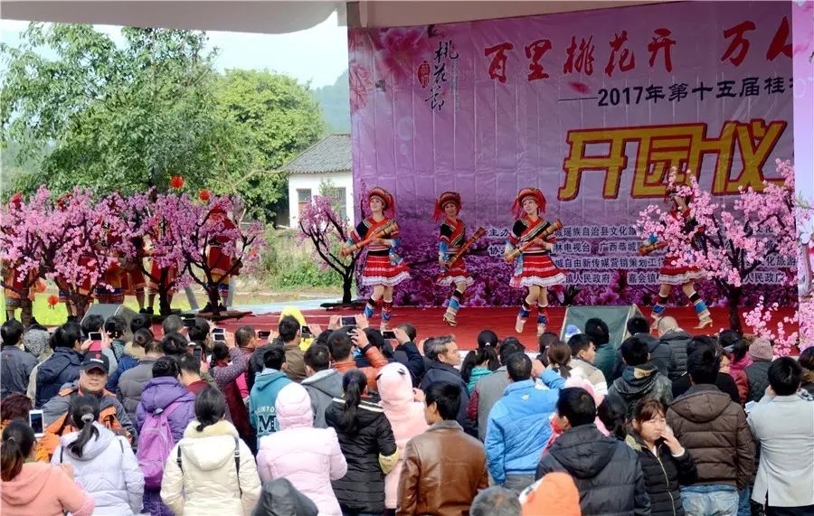大家心心念念的桃花节+首届嘉会野生紫荆花民俗文化节终于来了！81 / 作者:红花绿叶 / 帖子ID:267554