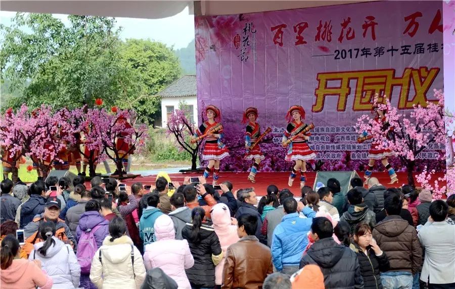 大家心心念念的桃花节+首届嘉会野生紫荆花民俗文化节终于来了！416 / 作者:红花绿叶 / 帖子ID:267554