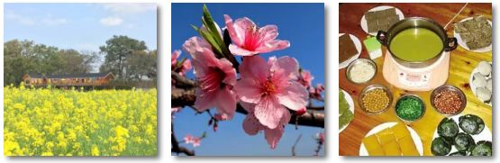 大家心心念念的桃花节+首届嘉会野生紫荆花民俗文化节终于来了！365 / 作者:红花绿叶 / 帖子ID:267554