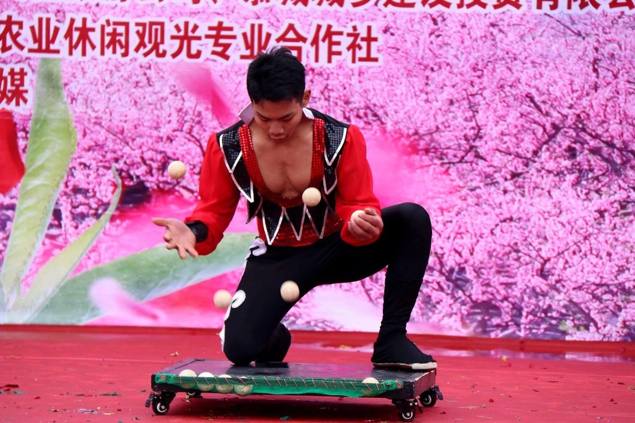 第十七届桂林恭城桃花节暨首届嘉会野生紫荆花民俗文化节开幕647 / 作者:看清所以看轻 / 帖子ID:267568