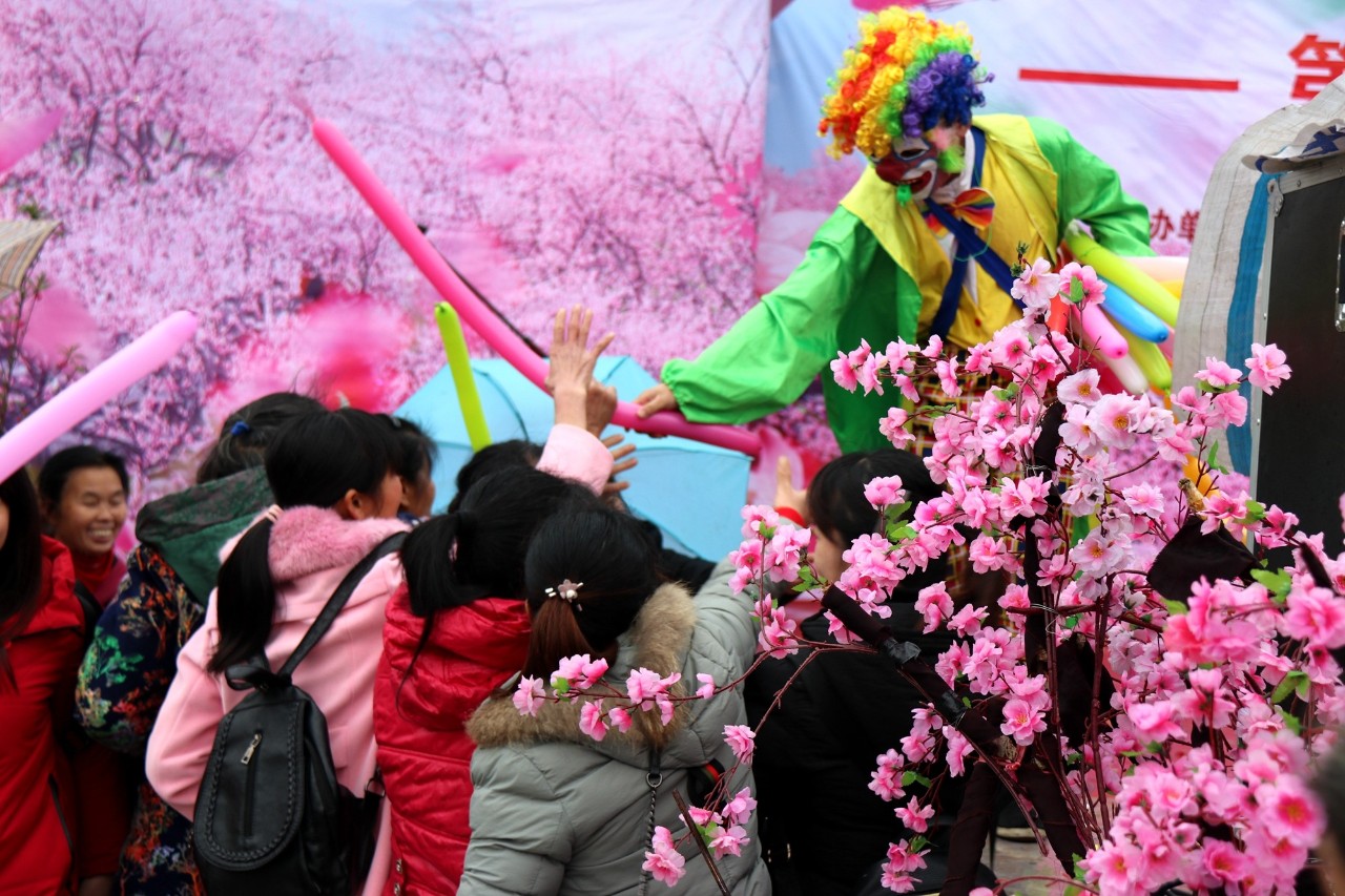 第十七届桂林恭城桃花节暨首届嘉会野生紫荆花民俗文化节开幕12 / 作者:看清所以看轻 / 帖子ID:267568