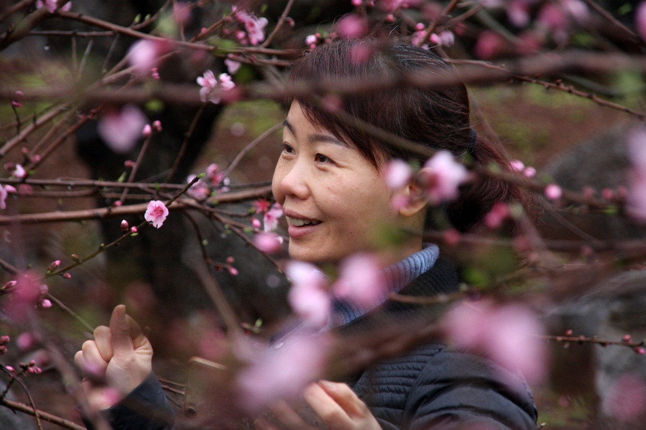 第十七届桂林恭城桃花节暨首届嘉会野生紫荆花民俗文化节开幕414 / 作者:看清所以看轻 / 帖子ID:267568