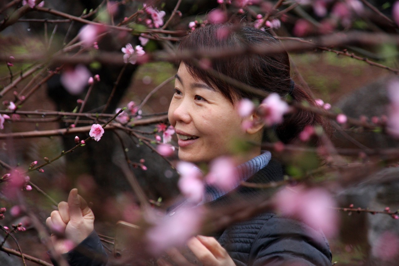 第十七届桂林恭城桃花节暨首届嘉会野生紫荆花民俗文化节开幕387 / 作者:看清所以看轻 / 帖子ID:267568