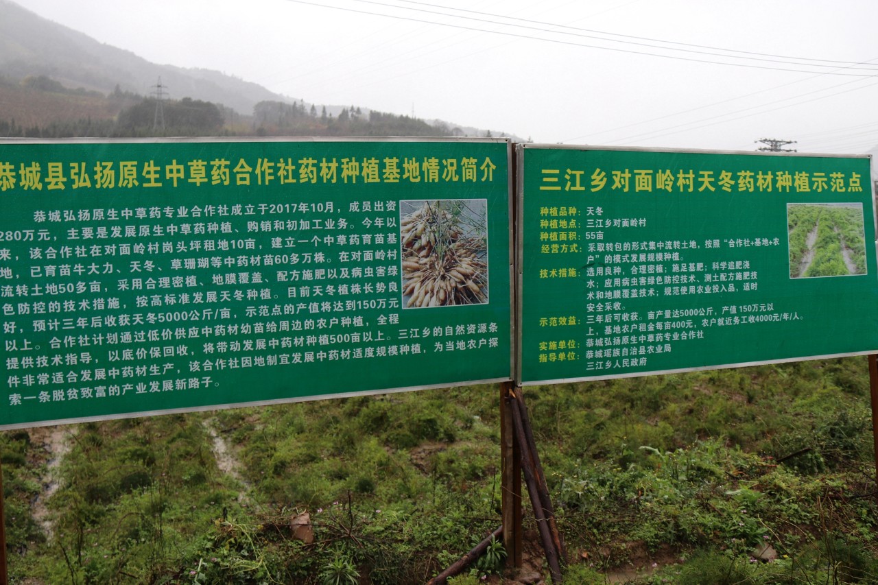 县委书记邓晓强就基层党建、中华优秀传统文化进农村、脱贫攻坚到三江乡深入调研201 / 作者:快乐至上 / 帖子ID:267569