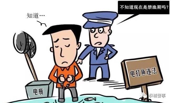 都是嘴馋惹的祸 2名男子电鱼被刑拘169 / 作者:歌声回荡 / 帖子ID:267723
