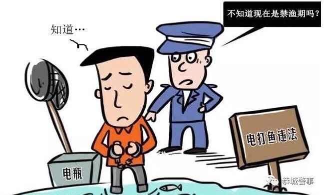 都是嘴馋惹的祸 2名男子电鱼被刑拘295 / 作者:歌声回荡 / 帖子ID:267723