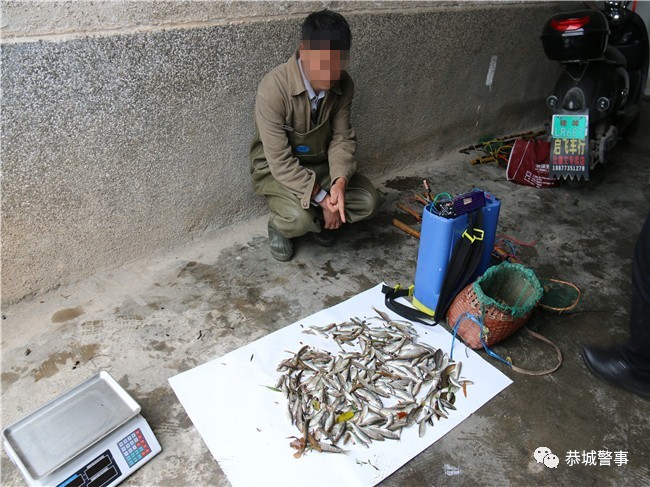 都是嘴馋惹的祸 2名男子电鱼被刑拘815 / 作者:歌声回荡 / 帖子ID:267723