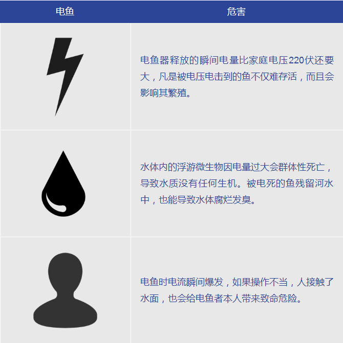 都是嘴馋惹的祸 2名男子电鱼被刑拘394 / 作者:歌声回荡 / 帖子ID:267723