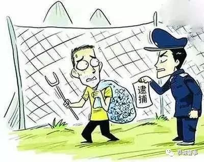 都是嘴馋惹的祸 2名男子电鱼被刑拘478 / 作者:歌声回荡 / 帖子ID:267723