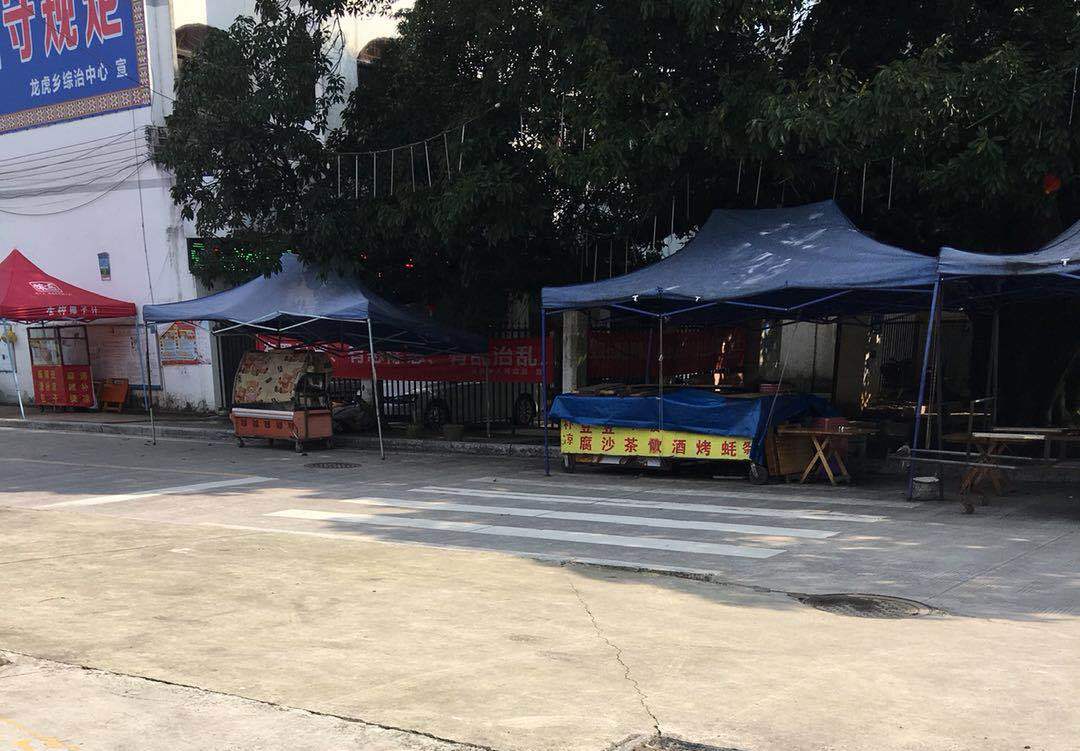 龙虎这里有一棵千年古榕，但是却被这样“保护”着264 / 作者:单身狗的生活 / 帖子ID:267733