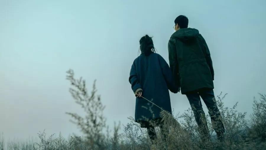 90后恋爱降级：爱无能，是年轻人最大的无奈978 / 作者:桂花糕 / 帖子ID:267814