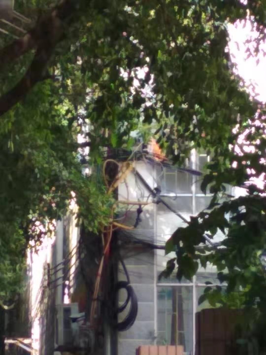 民政局后面电线短路，起火了962 / 作者:璀璨星辰 / 帖子ID:268242
