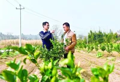 致敬！恭城镇庄埠村第一书记段宗元入选全国模范退役军人496 / 作者:快乐.每一天 / 帖子ID:268386