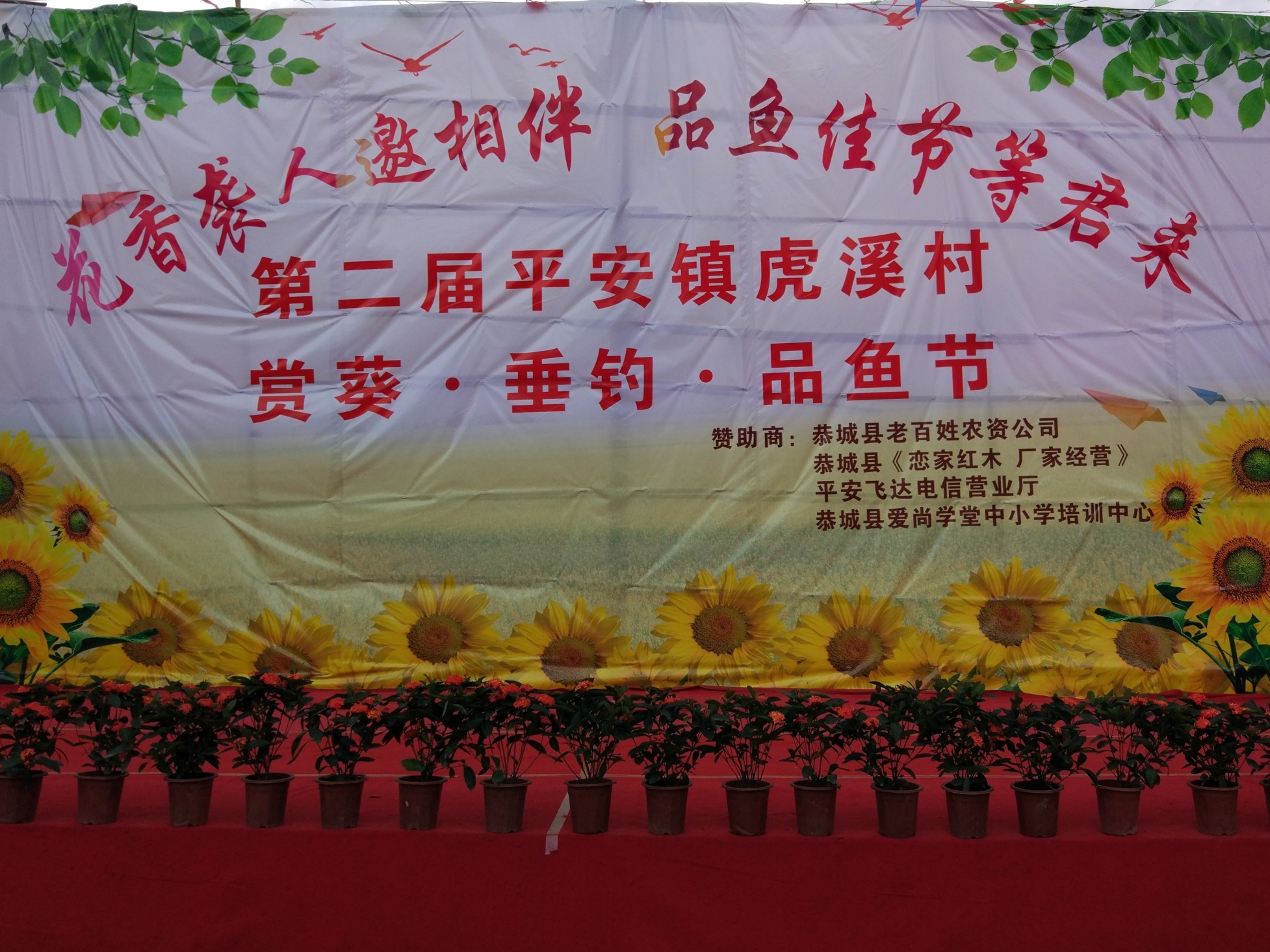 虎溪葵花园.古民居317 / 作者:悠闲 / 帖子ID:268424