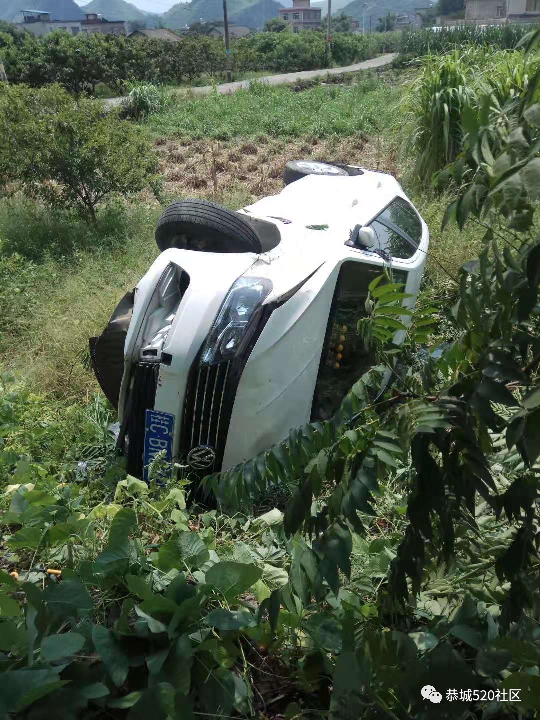 嘉会盘龙村路口一小车疲劳驾驶撞树后翻车584 / 作者:论坛小编02 / 帖子ID:268526