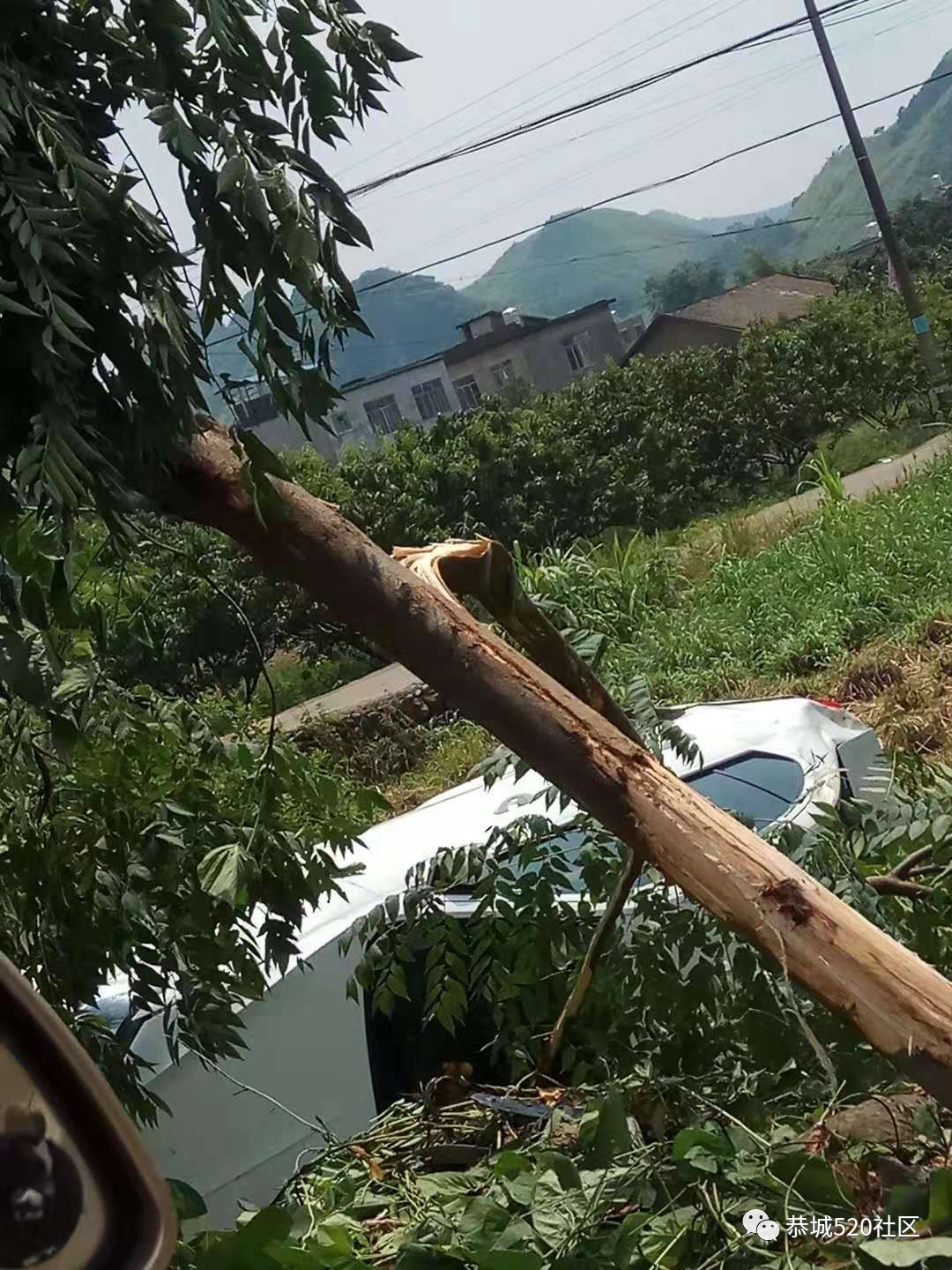 嘉会盘龙村路口一小车疲劳驾驶撞树后翻车881 / 作者:论坛小编02 / 帖子ID:268526