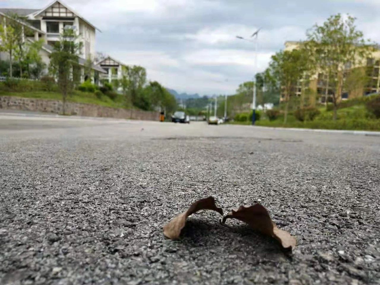 恭城民族实验中学这位同学写的请假条火了！56 / 作者:论坛小编02 / 帖子ID:268654