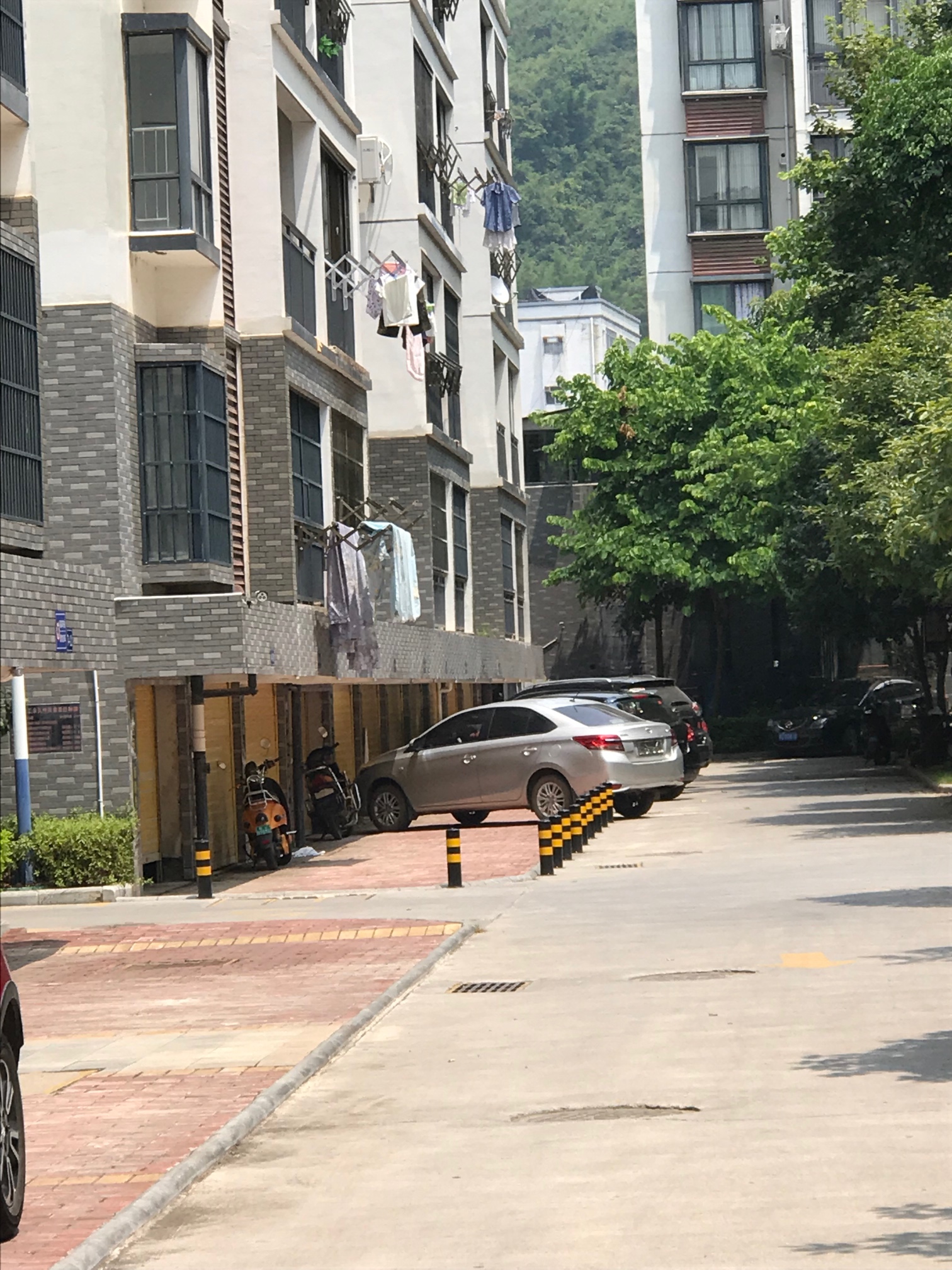 公共区域，到处打桩！这个小区物业太霸道！99 / 作者:素素 / 帖子ID:268671