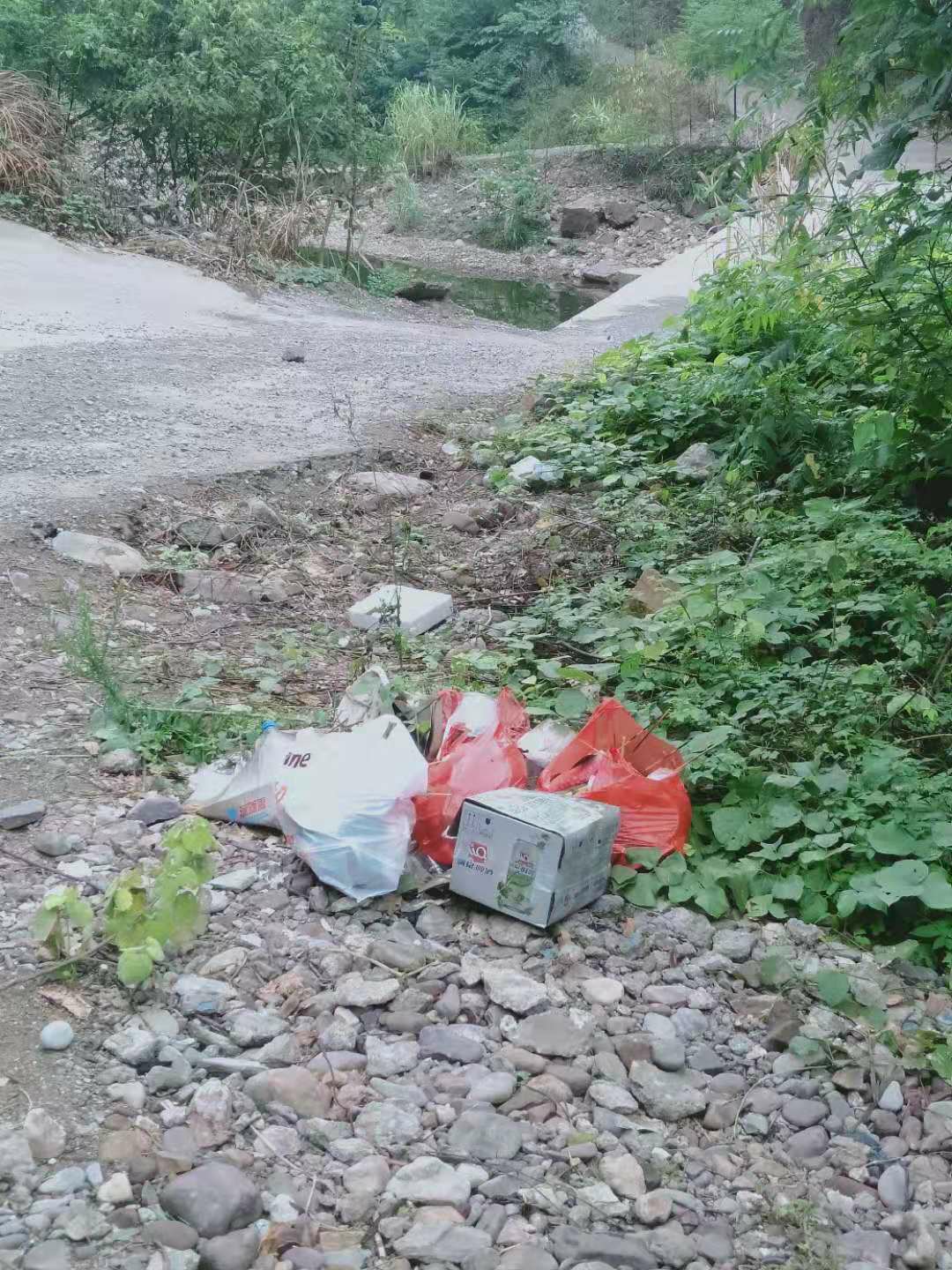 这点人能不能别乱丢垃圾？254 / 作者:清风哥 / 帖子ID:268674