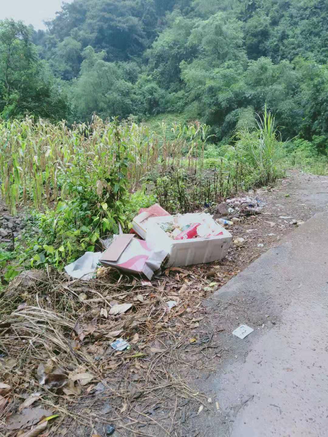 这点人能不能别乱丢垃圾？587 / 作者:清风哥 / 帖子ID:268674