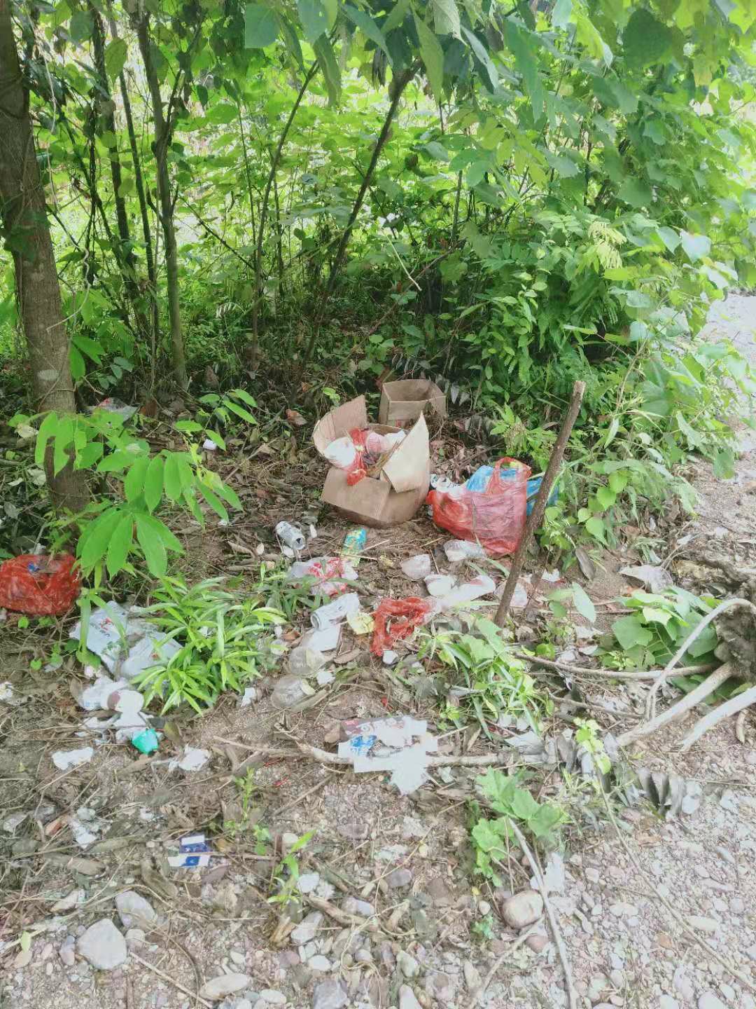 这点人能不能别乱丢垃圾？483 / 作者:清风哥 / 帖子ID:268674