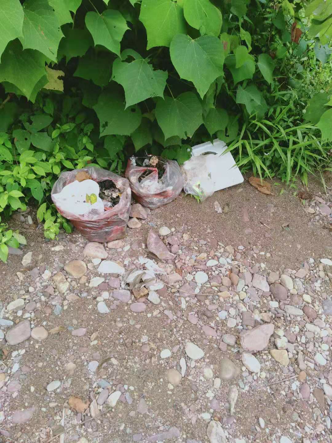 这点人能不能别乱丢垃圾？415 / 作者:清风哥 / 帖子ID:268674