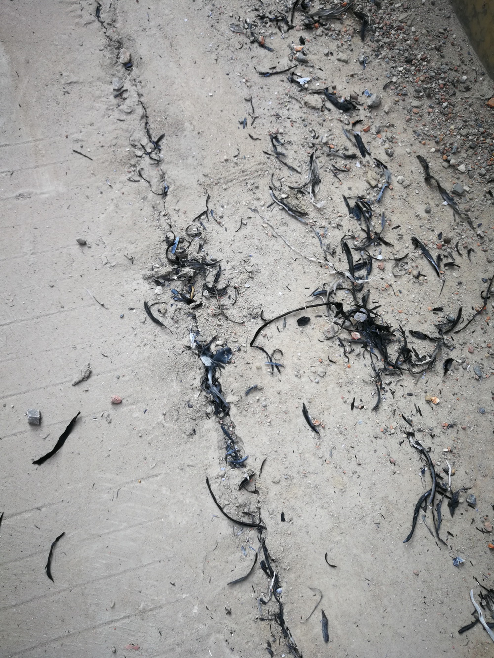 是哪个地方发生火灾或火烧山？378 / 作者:平安大叔 / 帖子ID:268776