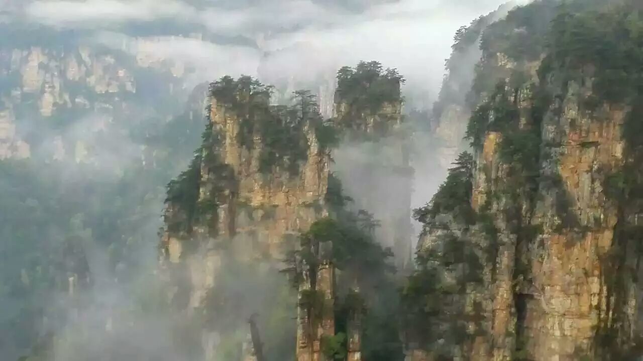 第一次去张家界必看的旅游攻略182 / 作者:枕上雪 / 帖子ID:268974