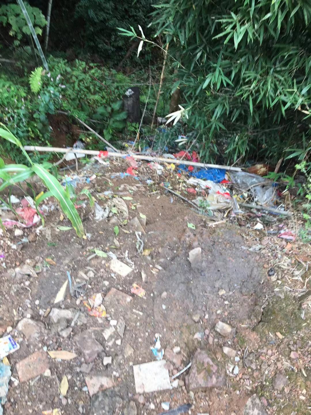 西岭镇朝川村水源林被无良开发商砍伐，种植杀人柑严重污染水源。导致怪病连连158 / 作者:往事一杯酒 / 帖子ID:269219
