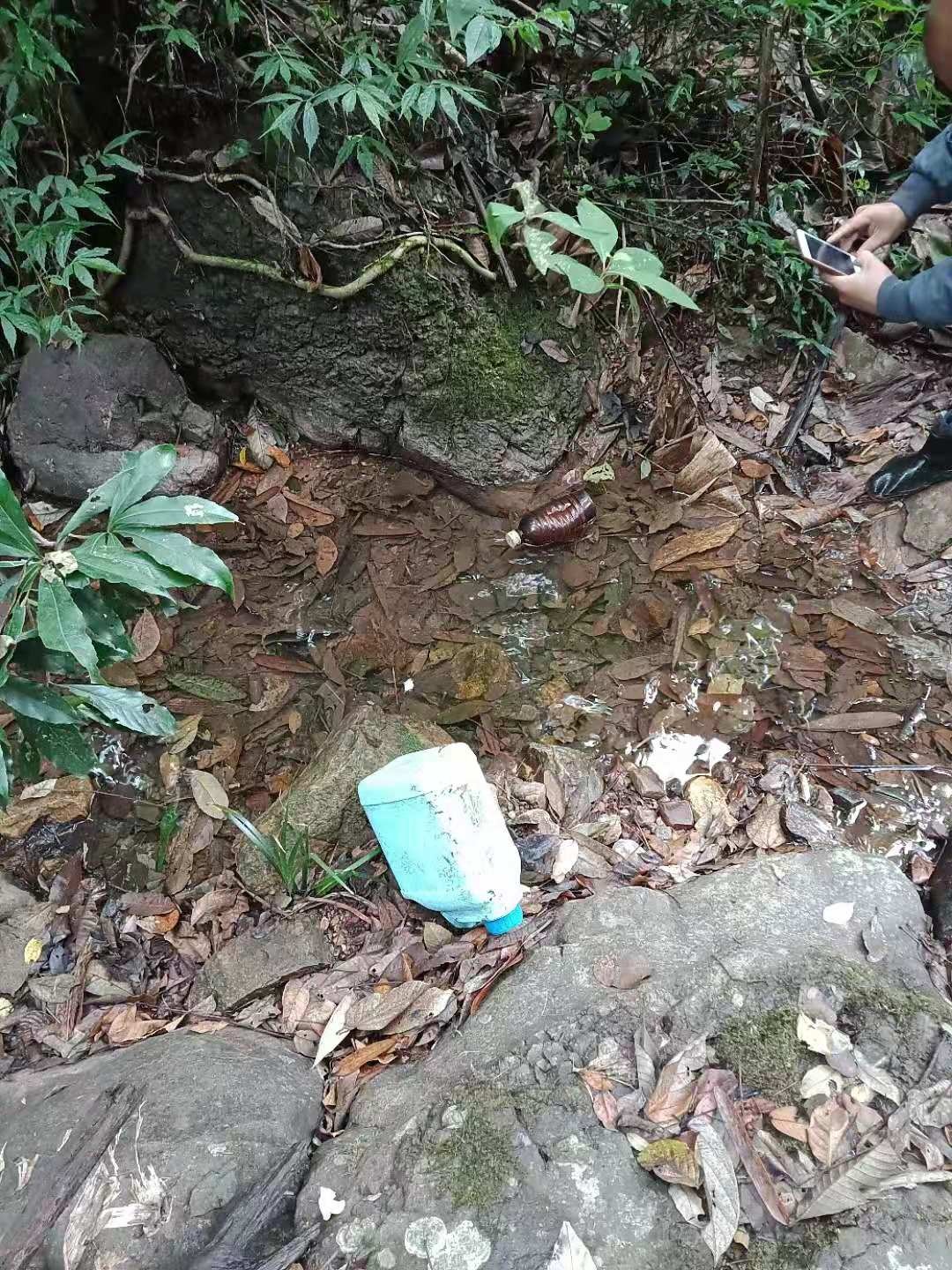 西岭镇朝川村水源林被无良开发商砍伐，种植杀人柑严重污染水源。导致怪病连连182 / 作者:往事一杯酒 / 帖子ID:269219