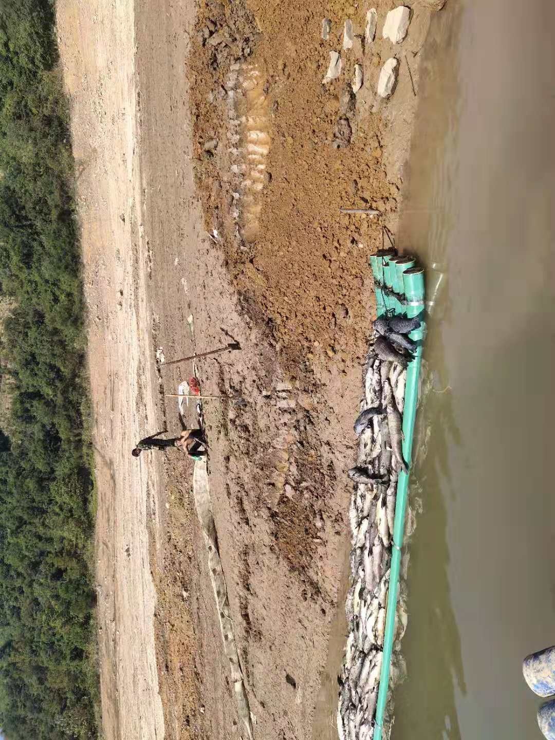 峻山水库水资源污染749 / 作者:你莫管 / 帖子ID:269377